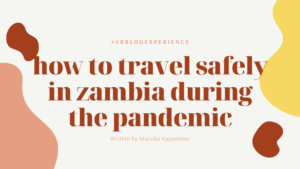 Read more about the article How To Travel Safely In Zambia During the Pandemic
